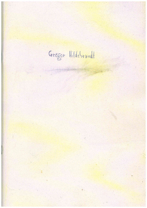 Umschlag des Katalogs von Gregor Hildebrandt