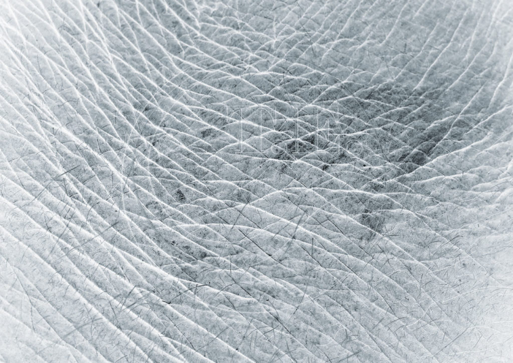 T.E. & Freunde - Einladung / Motiv